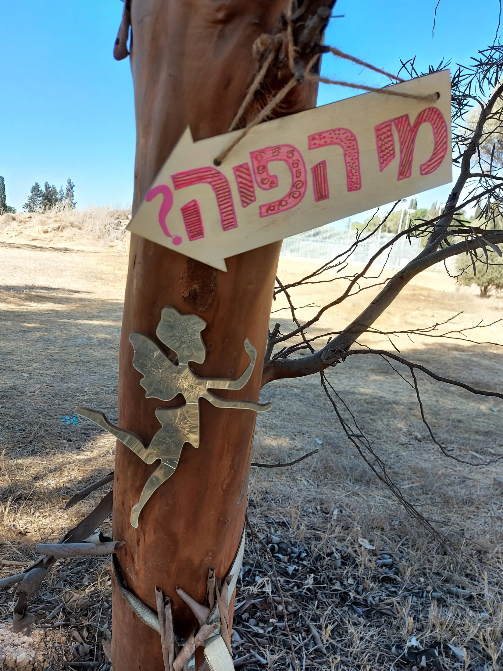 אנליה בוקשטיין – תמונה 2