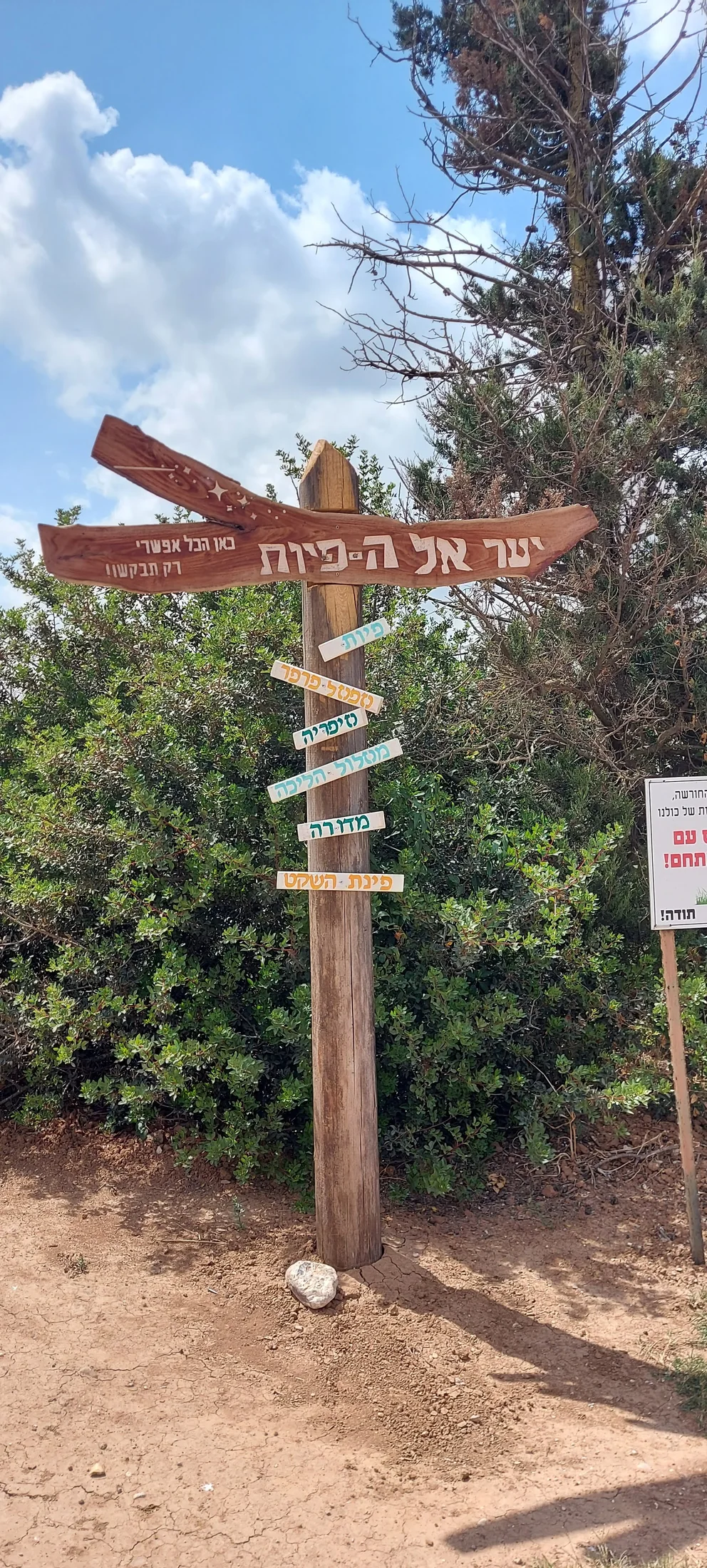 אנליה בוקשטיין – תמונה 5