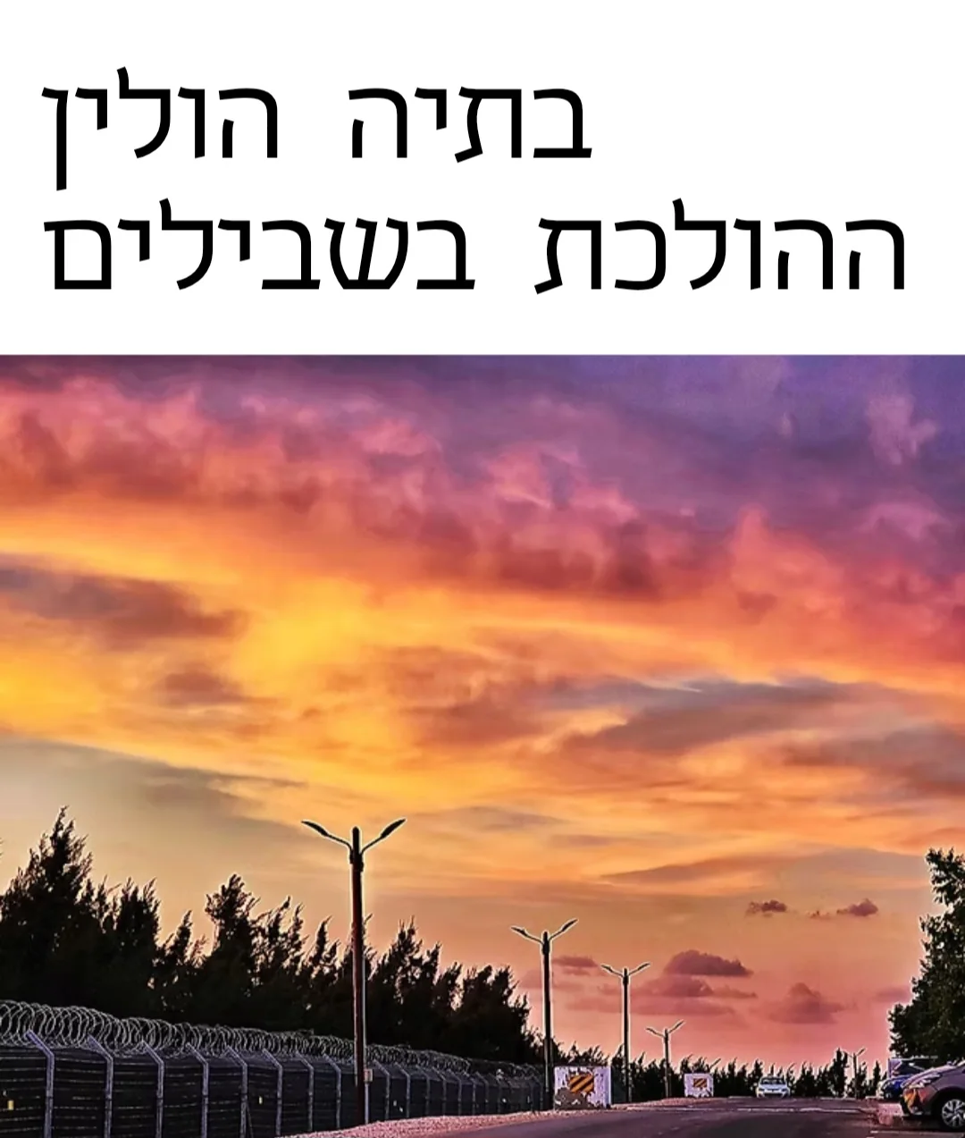 בתיה הולין – תמונה 1