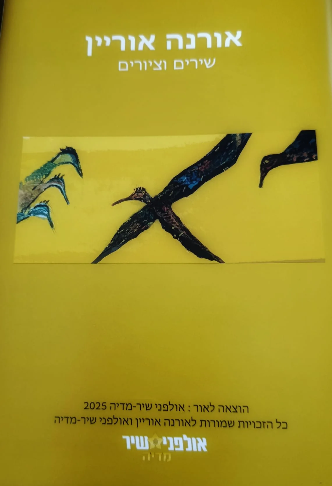 אורנה אוריין – תמונה 2